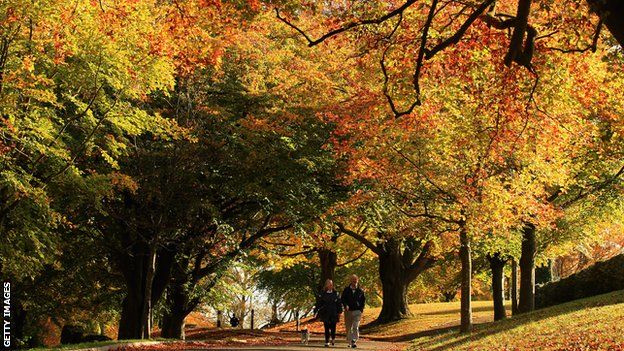 Walkers in a park in Bath