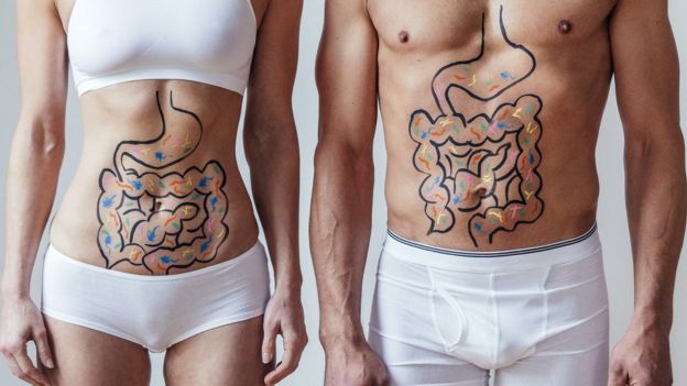Mujer y hombre con los intestinos dibujados.
