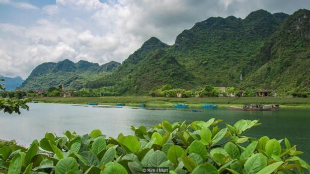 Tại làng Phong Nha yên tĩnh của Việt Nam, các nhà nghỉ do gia đình tự quản cung cấp chỗ ở ngay gần trung tâm của Vườn Quốc Gia Phong Nha-Ke Bàng được Unesco bảo vệ.
