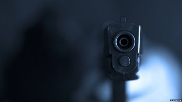 Gun