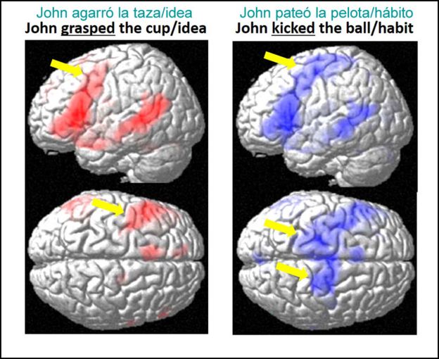 En inglés, el verbo GRASP significa literalmente tomar o agarrar, mientras GRASP AN IDEA refiere a entender una idea. Por otro lado, KICK quiere decir patear y KICK THE HABIT es abandonar un mal hábito.