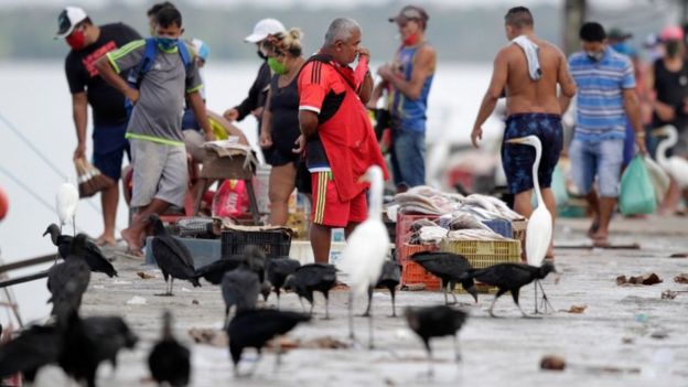 Comerciantes e pescadores em área portuária, na beira do rio, em Belém; vê-se caixas, peixes e garças em volta