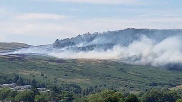 Smoke near Tollymore Forest Park