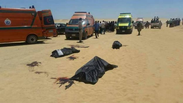 سيارات إسعاف وضحايا في موقع الحادث
