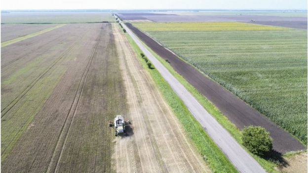 Попри те, що сільгоспземлю не можна продавати, деякі виробники зібрали цілі "земельні банки"