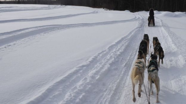 Nieve en Canadá