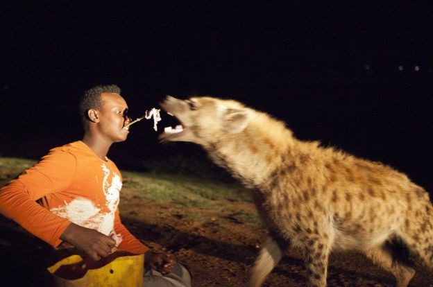 Running With The Hyenas Of Addis Ababa   BBC News