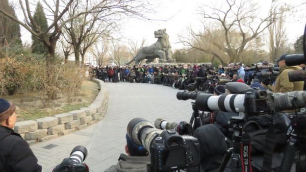 robin in Beijing