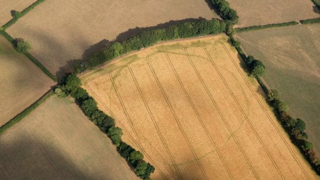 An ancient enclosure in Churchstanton