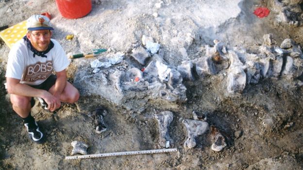 Pesquisador da Universidade do Kansas ao lado de ossos de pé do braquiossauro em escavação no ano de 1998