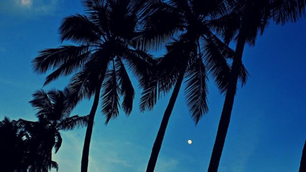 நளினா, திருப்பூர்