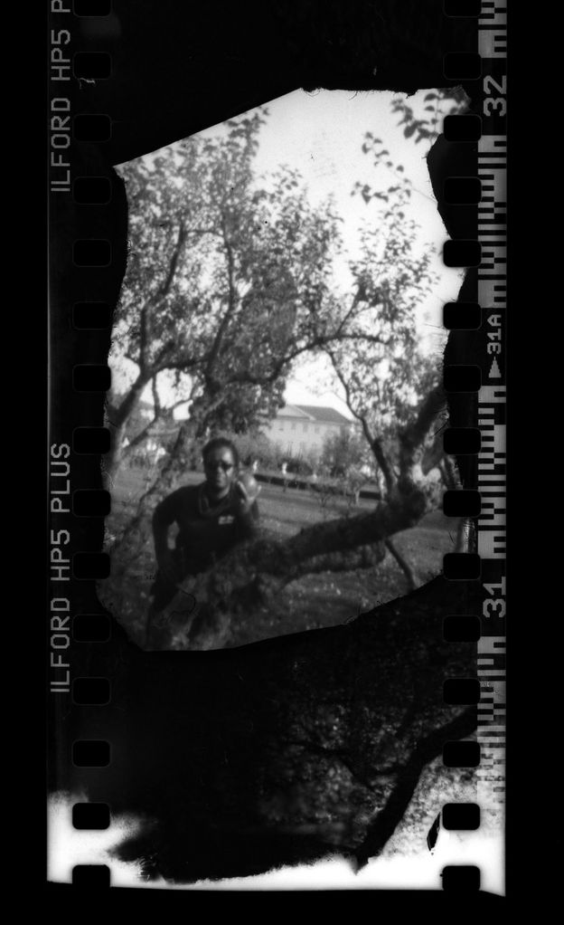 Man in an orchard