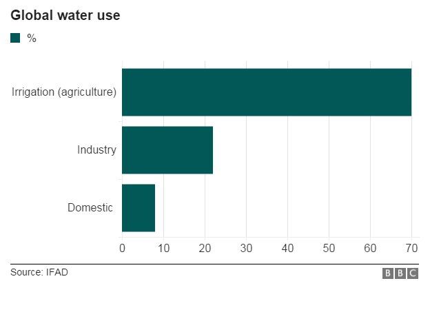 Global water use