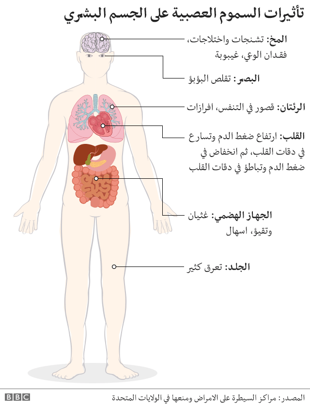 رسم يوضح تأثير عنصر الأعصاب على الجسم