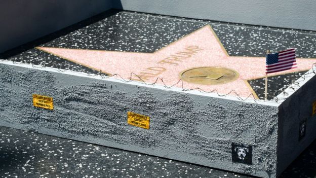   Trump Star Wall 