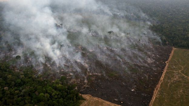 Incêndio na floresta amazônica na região de Porto Velho