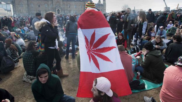 კანაფის ლეგალიზაცია: რაც უნდა იცოდეთ Cannabis users in Canada
