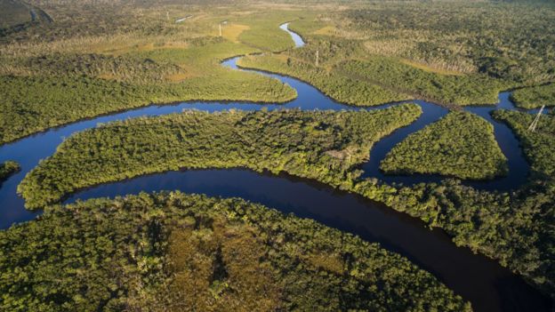 Amazonia cruzada por ríos