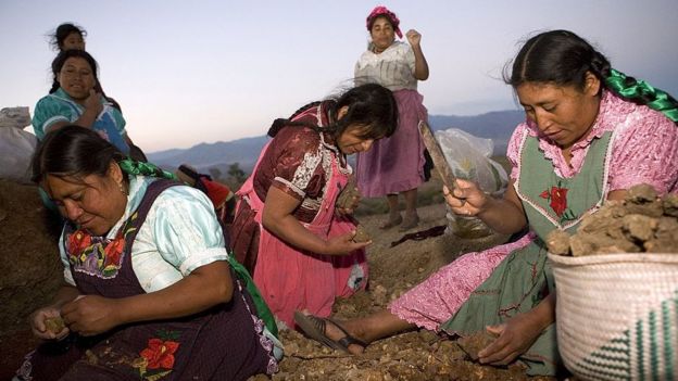 Mujeres zapotecas