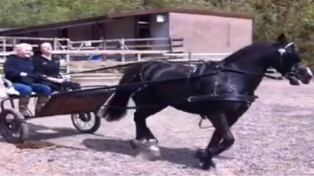 Angharad Rees in a two-wheeled trap that was pulled by a horse