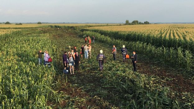 Вы на кукурузном поле вокруг зелень до самого горизонта солнце слепит вам глаза киберпанк