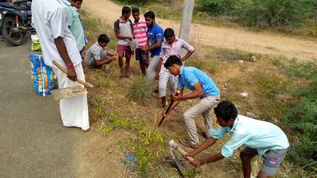 கஜ புயலை எதிர்கொண்ட பனை மரங்கள்