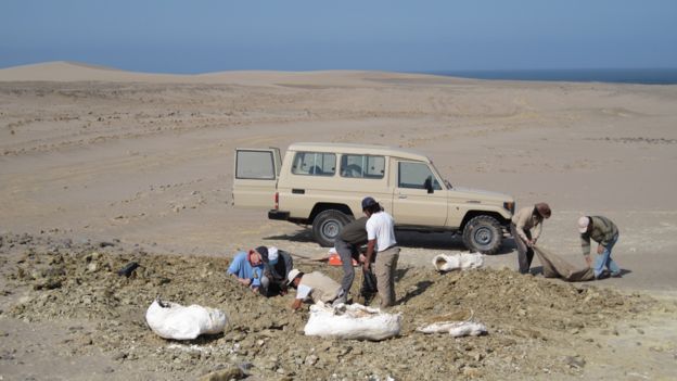 Paleontólogos trabalhando em zona des[ertica em frente à Praia Media Luna