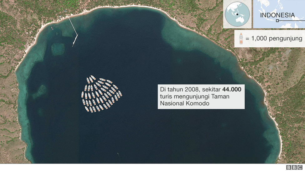 Wacana Penutupan Taman Nasional Komodo Apakah Pulau Komodo
