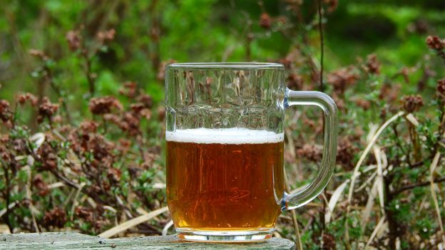 Beer in the grass