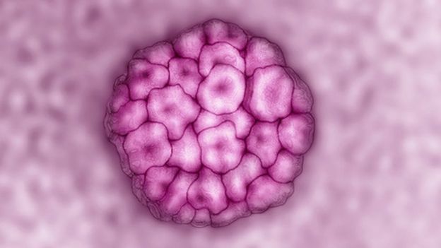 Hpv Cervical Cancer Test Introduced In England Bbc News 