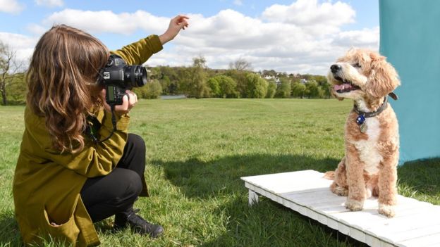 Dog photo booth