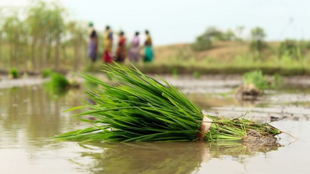 #BBCTamilPhotoContest