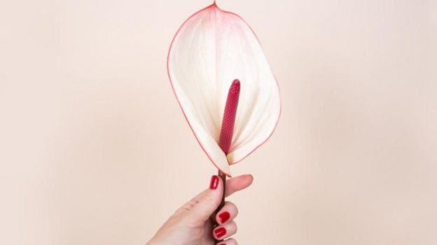 Una mujer sosteniendo una flor