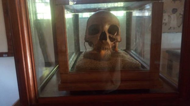 Skull in the museum