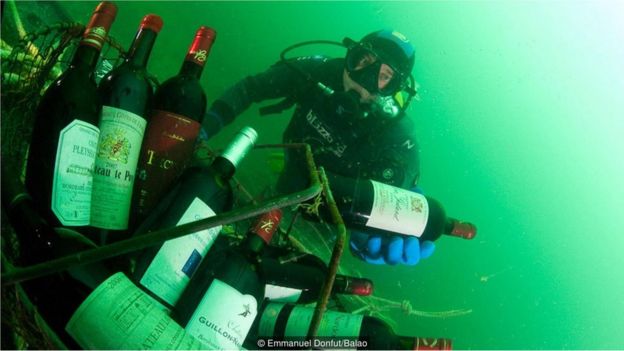 mergulhador com vinhos
