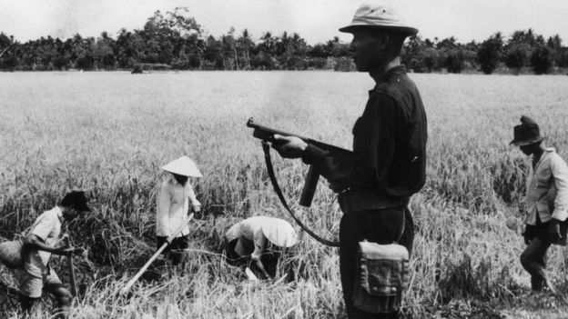 Nam Việt Nam tháng 3/1962: bảo vệ nông dân trên ruộng lúa