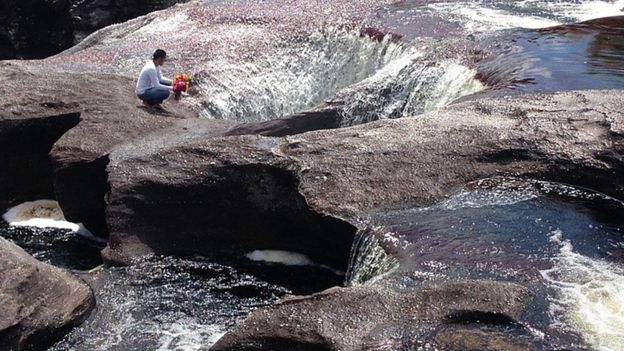 Miguel Salazar vio a John Galindo ahogarse después de saltar a uno de los pozos del río Caño Cristales, considerado de los más bonitos del mundo. (Foto: : Ciro & Yo)