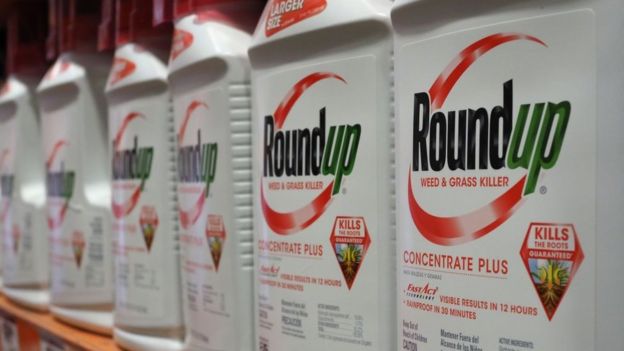 Bottles of Monsanto's Roundup are seen for sale June 19, 2018 at a retail store in Glendale, California