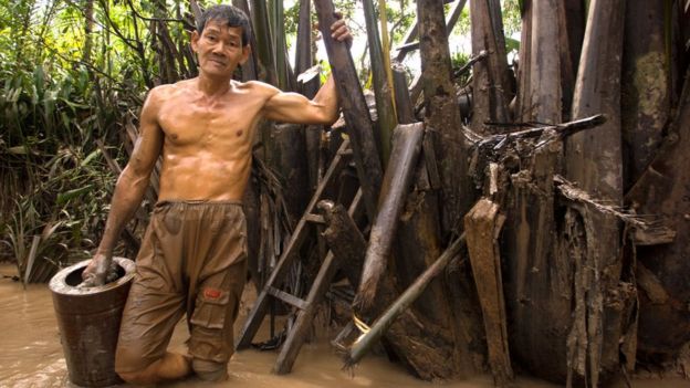 Đồng bằng Sông Cửu Long