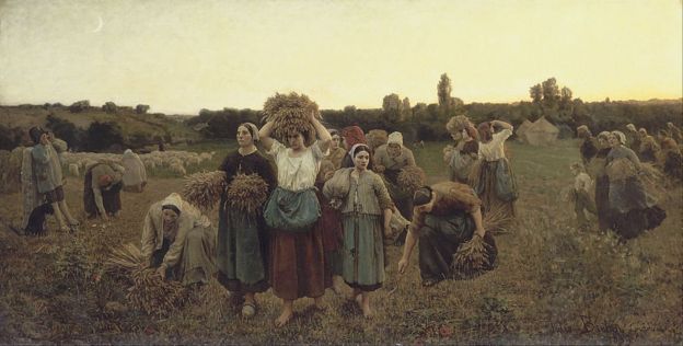 Фермери