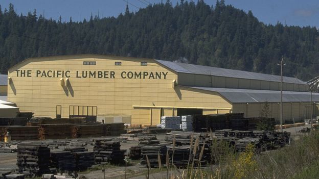 La empresa maderera Pacific Lumber Company