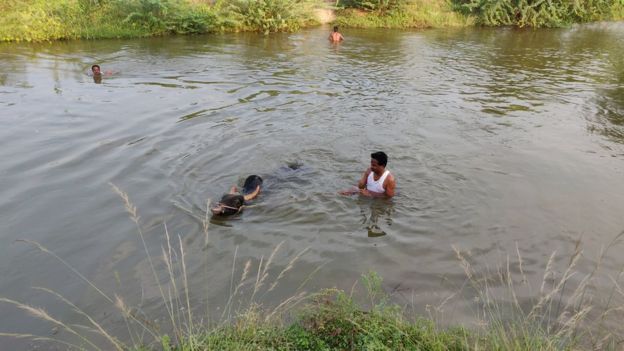 பயிற்சியளிக்கும் காளைப்பிரியர்கள்: சீறத் தயாராகும் ஜல்லிக்கட்டு காளைகள்!