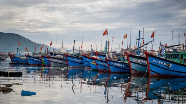 Tàu cá Việt Nam