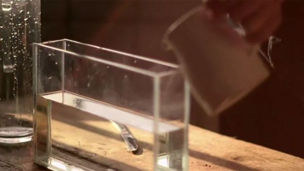 Recipiente de vidrio con agua
