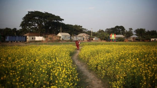 Área rural de Bangladesh