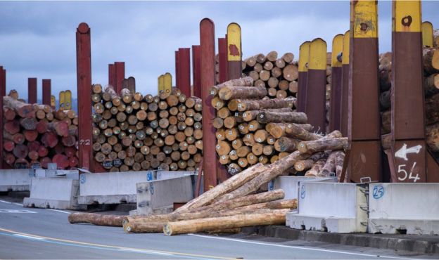 Logs are dislodged from their stacks at the ports in Wellington, New Zealand, Monday, 14 November 2016, following an earthquake.