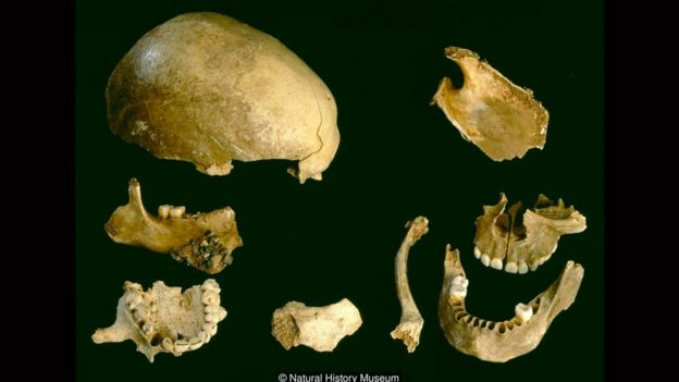Những xương tìm thấy trong hang động Gough's Cave cho thấy những người này đã bị ăn thịt