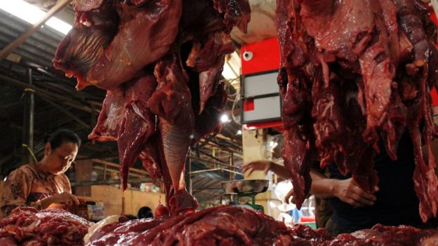 daging sapi