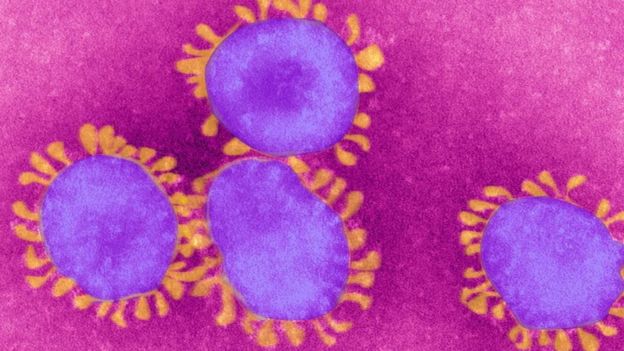 دلیل نام‌گذاری ویروس‌های کرونا تیغه‌های تاج‌مانندی است که در پیرامون پوسته پروتئینی ویروس دیده می‌شود