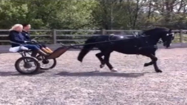Angharad Rees training for the event in a trap pulled by a horse